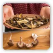 Suszenie grzybów. Domowe sposoby jak suszyć grzyby