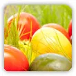 naturalne barwniki do jajek wielkanocnych