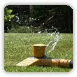 oszczędzanie wody w ogrodzie