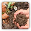 Jak przyspieszyć kompostowanie? 6 sposobów na szybki kompost!