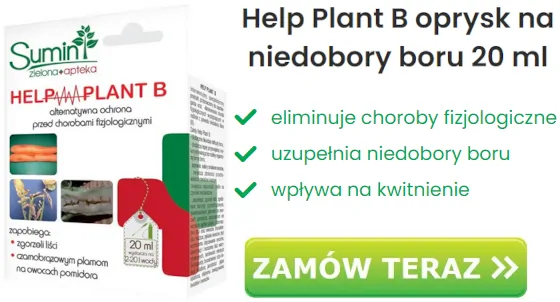 Help Plant B