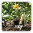 Jak usprawnić pracę w ogrodzie? Agrotkanina - nieoceniona pomoc w uprawie roślin