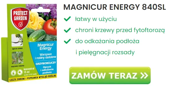 magnicur energy