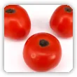 Sucha zgnilizna wierzchołkowa pomidora i papryki
