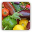 Warzywa psiankowate - charakterystyka, przykłady, lista gatunków i odmian