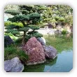 Ogród w stylu japońskim. Jak zaprojektować ogród japoński