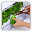Domowa szklarnia hydroponiczna. Prosty sposób na całoroczną uprawę warzyw i ziół!