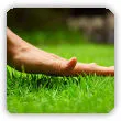 Sprawdzony sposób na gęsty i soczyście zielony trawnik. Twoja trawa będzie piękna przez wiele lat!
