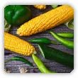 Jak przechowywać kolby kukurydzy