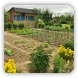 Jak zaplanować ogród warzywny