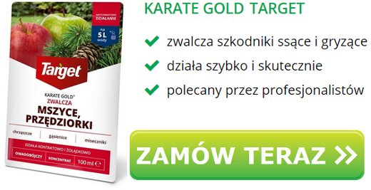 Karate Gold