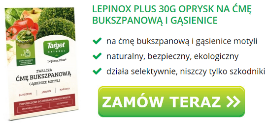 Lepinox Plus 30g oprysk na ćmę bukszpanową