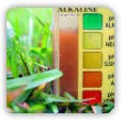 Pomiar pH gleby. Jak zmierzyć odczyn pH gleby w ogrodzie?