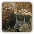 Ziemia liściowa. Jak zrobić kompost z liści i jak go stosować?